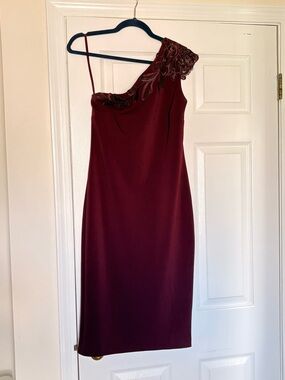 Ted Baker NWT dress